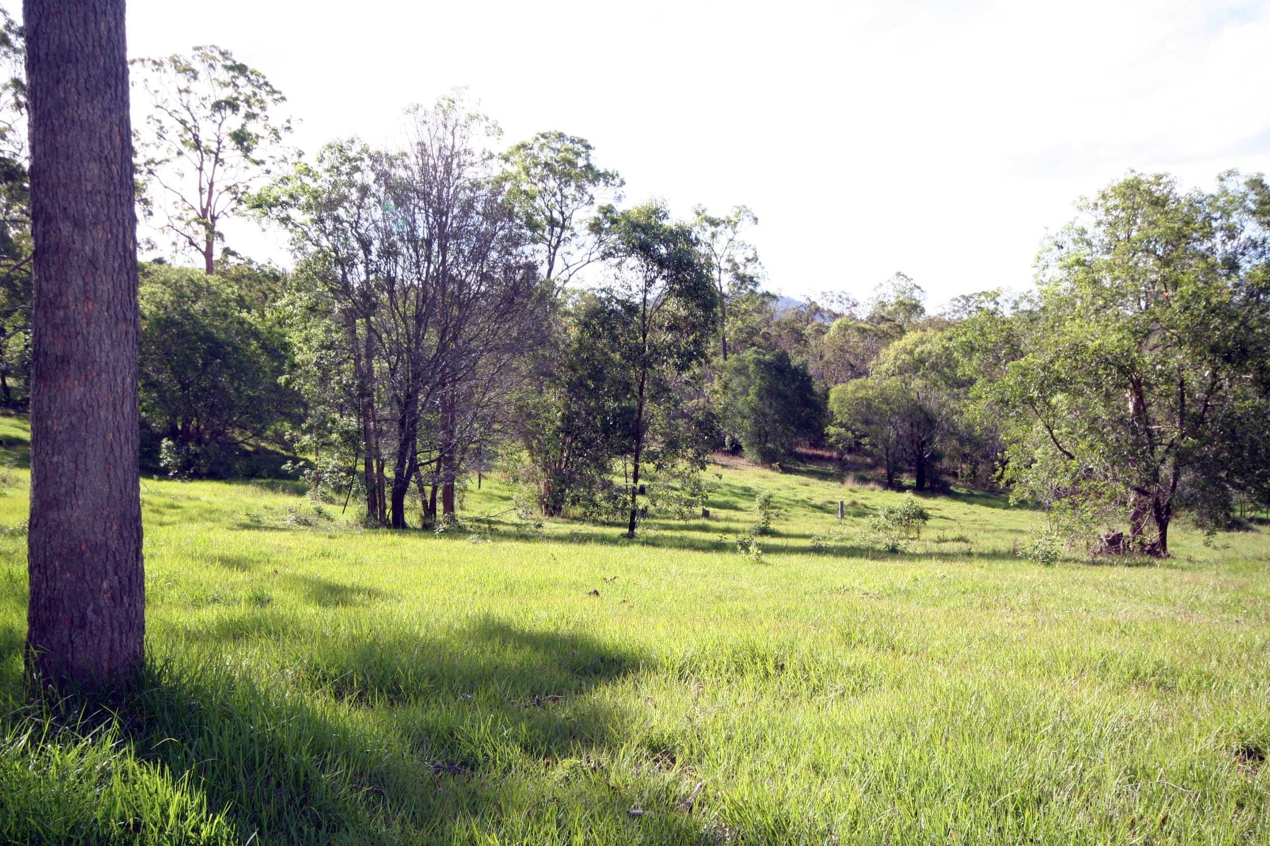 WIGHTS MOUNTAIN QLD 4520, Wights Mountain - Thumbnail 6