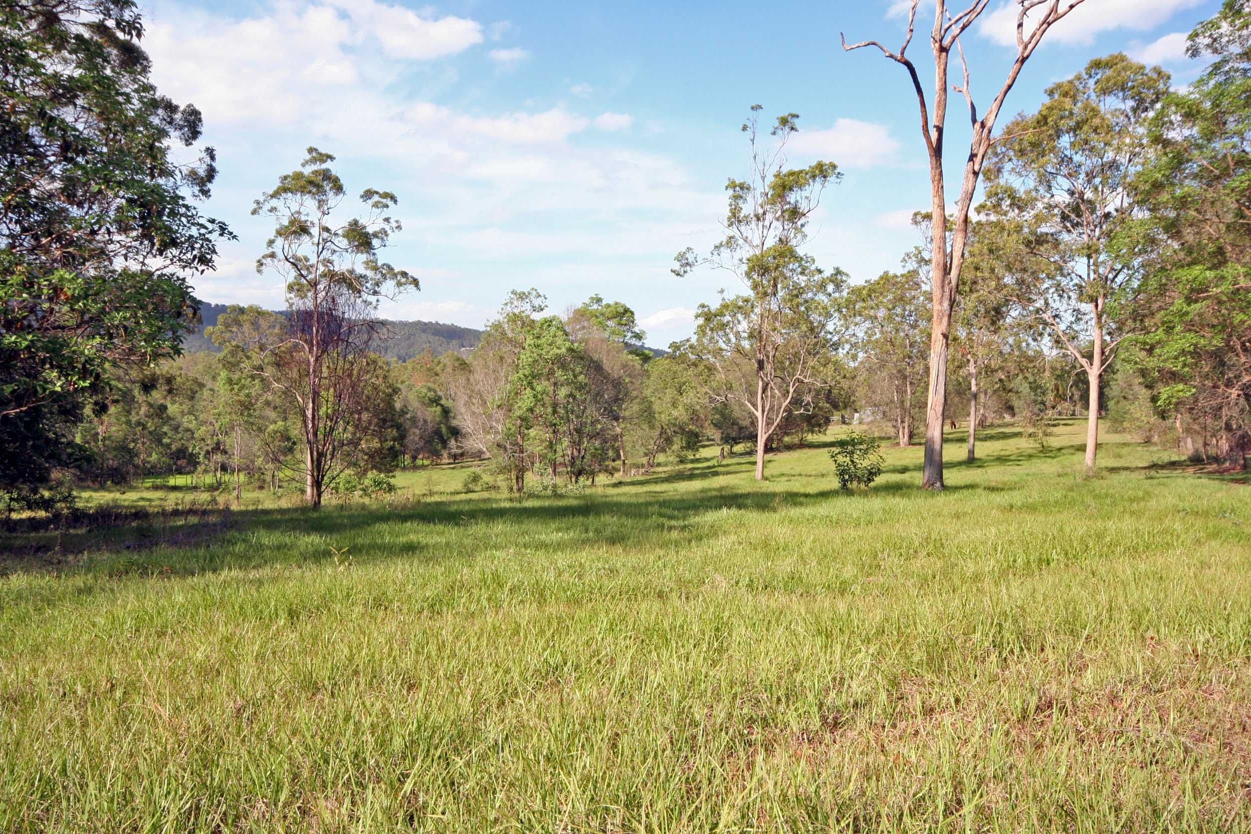 WIGHTS MOUNTAIN QLD 4520, Wights Mountain - Thumbnail 8