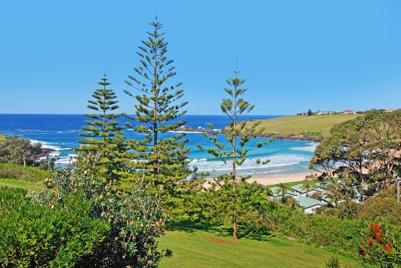 24 Kaleula Crescent, KIAMA NSW 2533, Kiama - Thumbnail 6