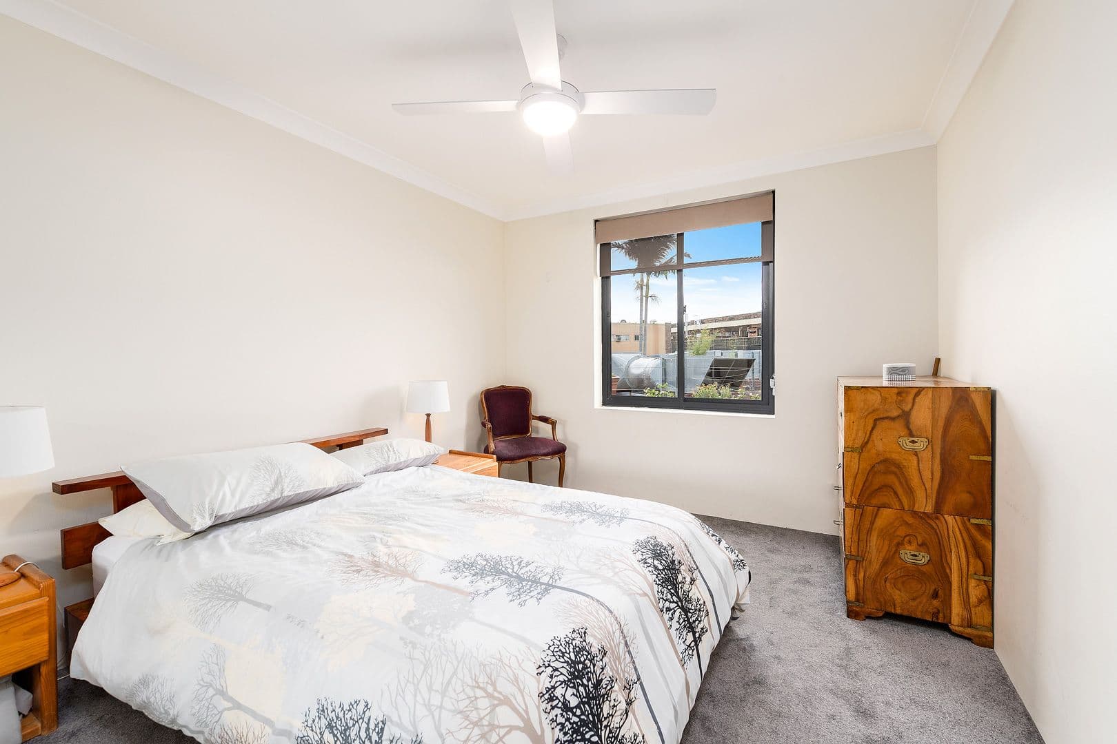 23 Norton Street, Leichhardt NSW 2040, Leichhardt - Thumbnail 6