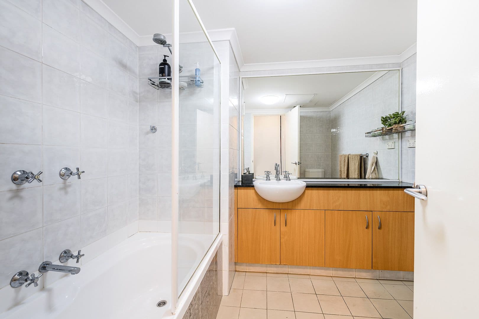 23 Norton Street, Leichhardt NSW 2040, Leichhardt - Thumbnail 7