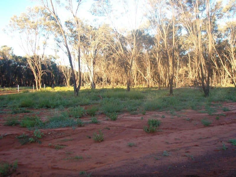 20 Murweh Drive, CHARLEVILLE QLD 4470, Charleville - Image 1