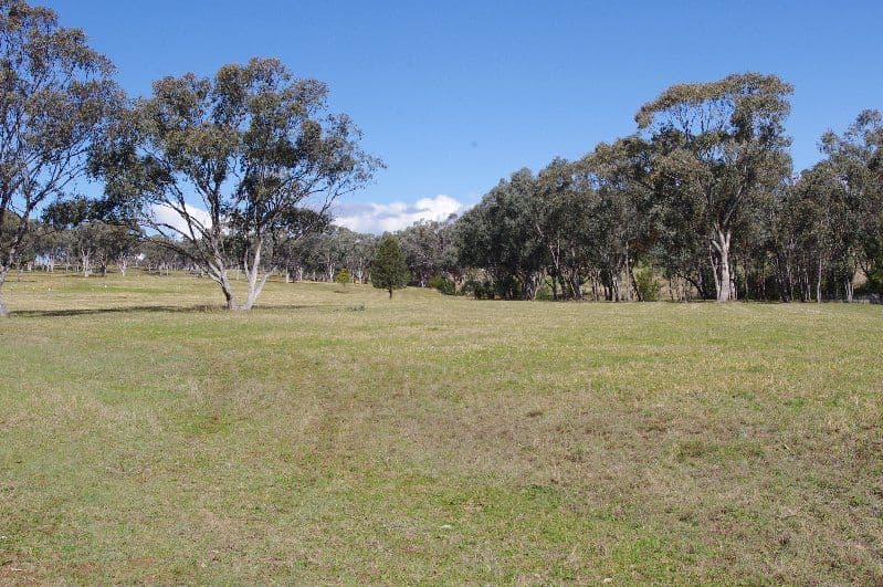 Lot 7 White Box Place, Inverell NSW 2360, Inverell - Thumbnail 4