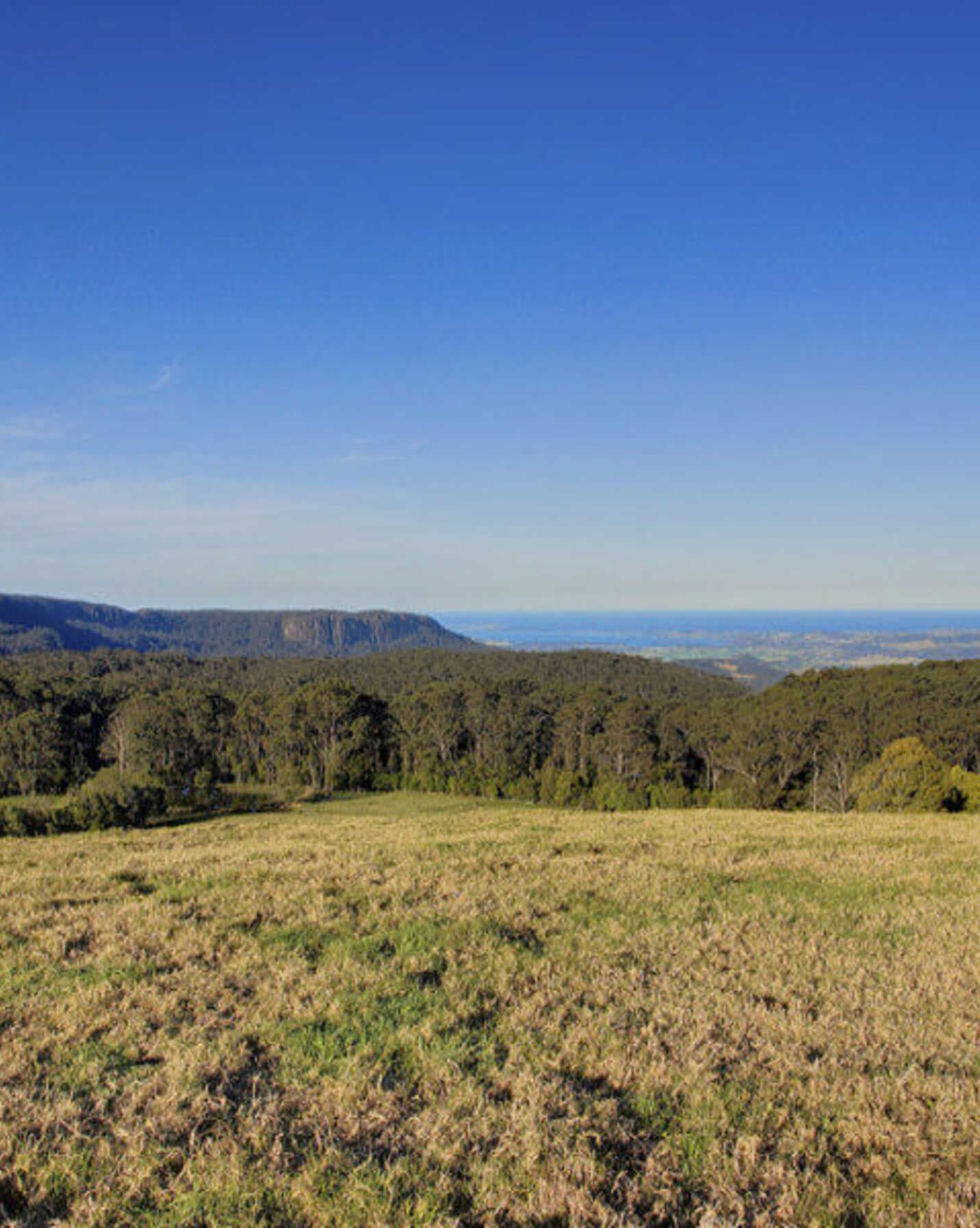4055 'Silver Springs' Illawarra Highway Robertson, Robertson - Image 1