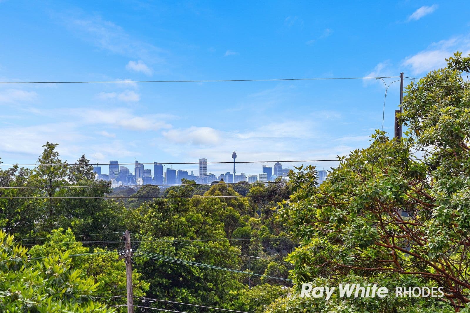 42 Walker Street, Rhodes NSW 2138, Rhodes - Thumbnail 6