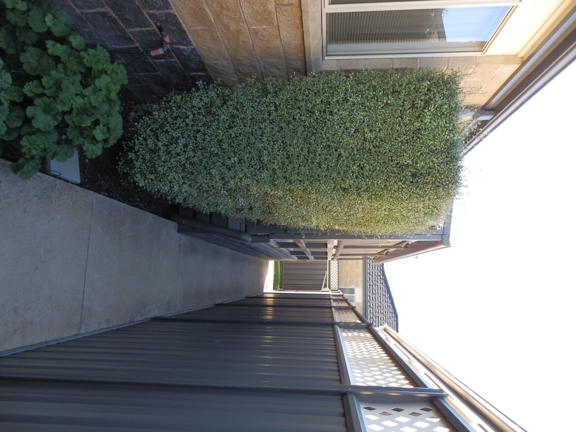 115 Goulburn Road, ECHUCA VIC 3564, Echuca - Thumbnail 8