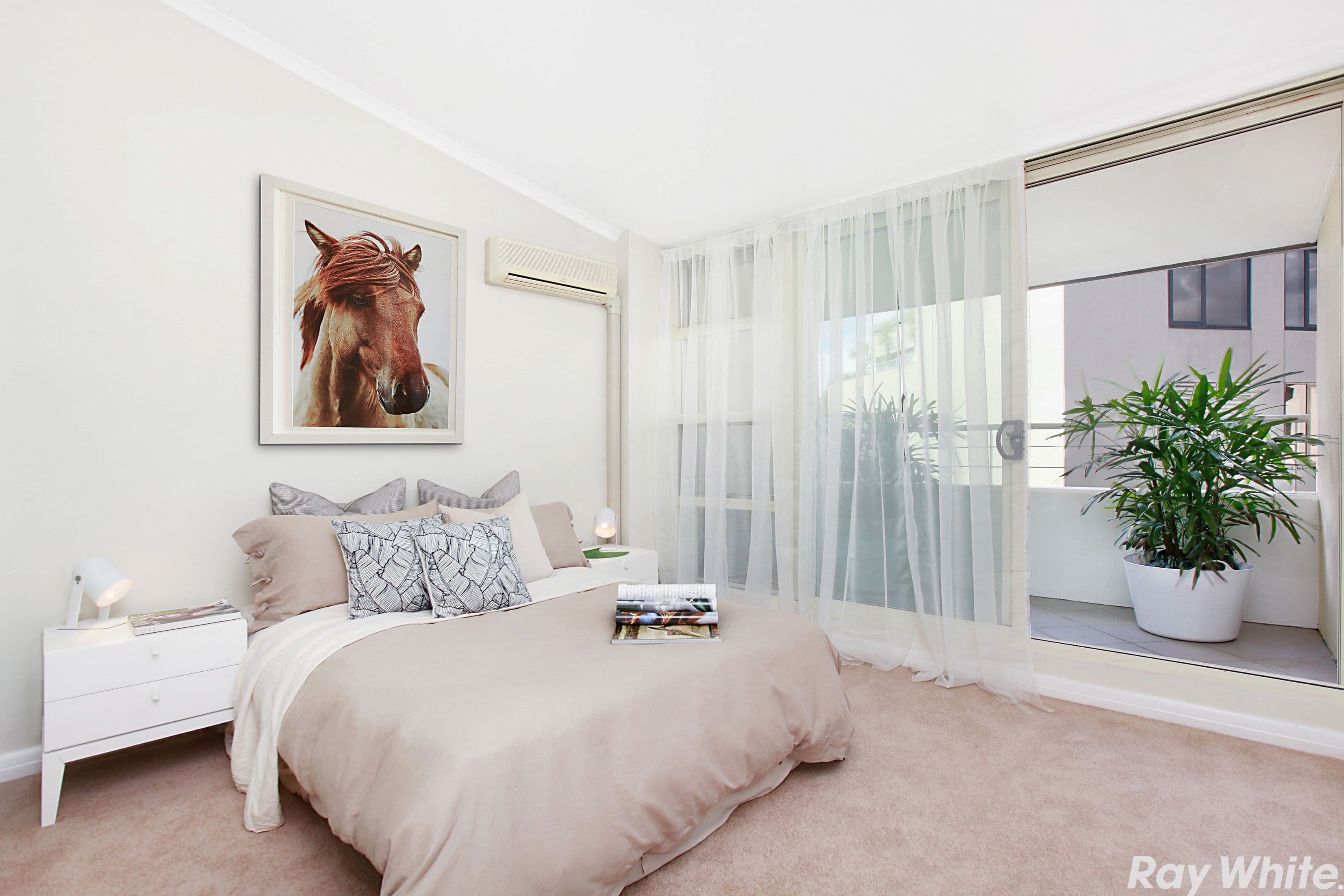 161 New South Head Road, Edgecliff NSW 2027, Edgecliff - Thumbnail 5