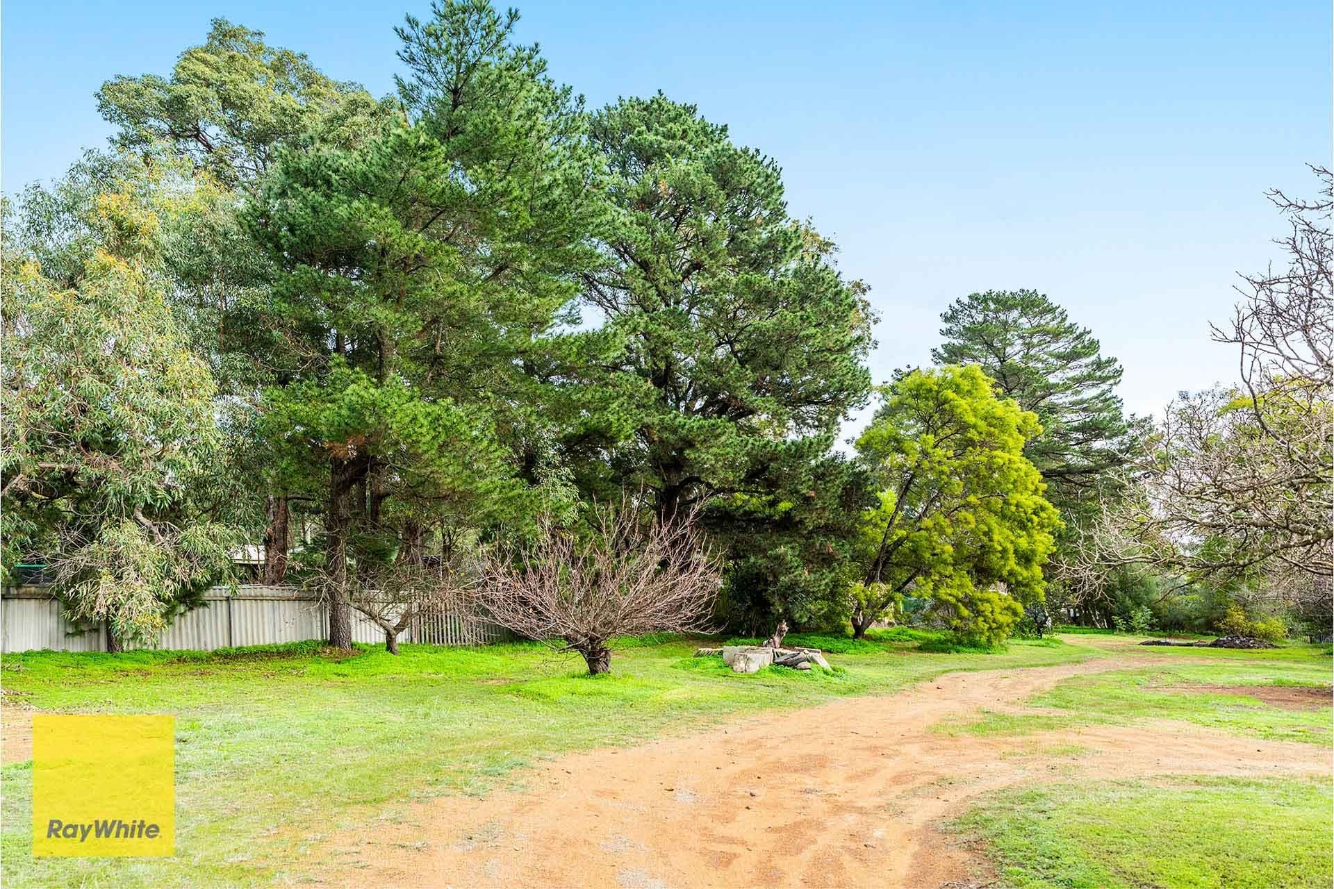 31 Valencia Road, Carmel WA 6076, Carmel - Thumbnail 5