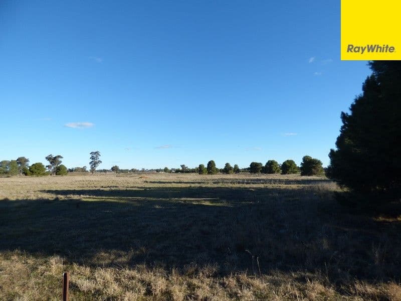 Lot 101 Calarie Road, Forbes NSW 2871, Forbes - Image 1