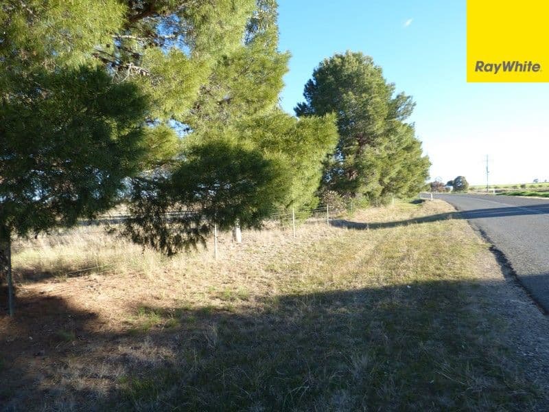 Lot 101 Calarie Road, Forbes NSW 2871, Forbes - Thumbnail 3
