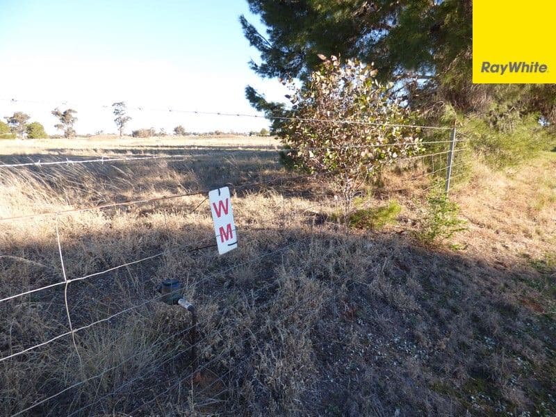 Lot 101 Calarie Road, Forbes NSW 2871, Forbes - Thumbnail 4