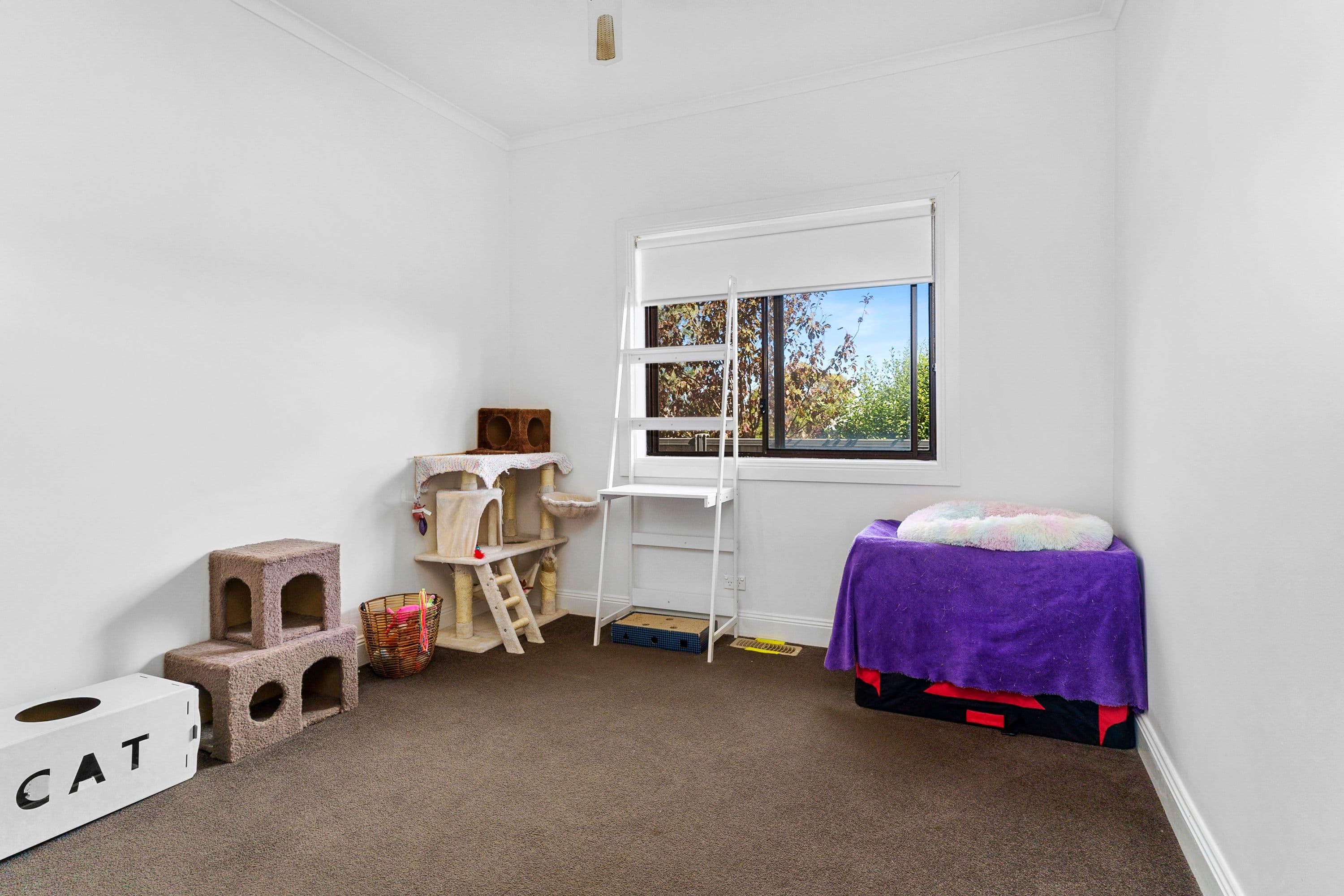 332a Albert Street, Sebastopol VIC 3356, Sebastopol - Thumbnail 6