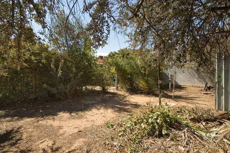 39 Lascelles Avenue, WARRADALE SA 5046, Warradale - Thumbnail 5