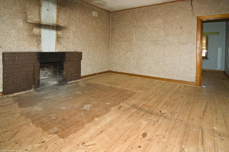 39 Lascelles Avenue, WARRADALE SA 5046, Warradale - Thumbnail 6