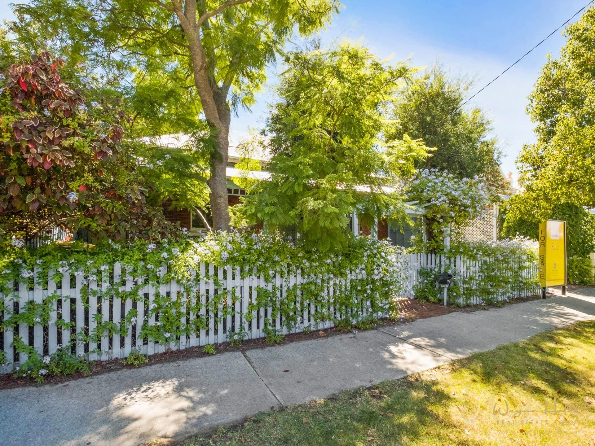 118 Lincoln Street, Highgate WA 6003, Highgate - Thumbnail 3