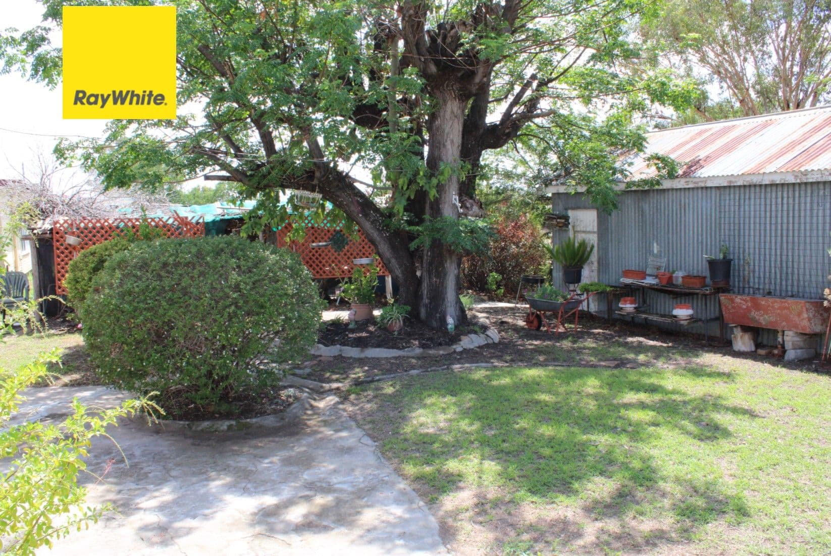 2 Jubilee Street, Ashford NSW 2361, Ashford - Thumbnail 3