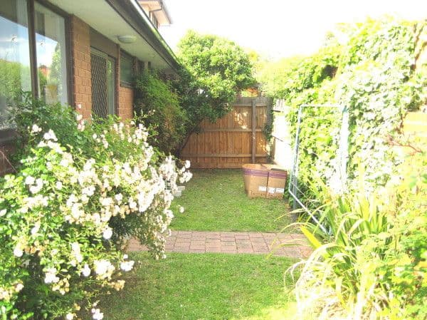 7 Munro Avenue, Carnegie VIC 3163, Carnegie - Thumbnail 6