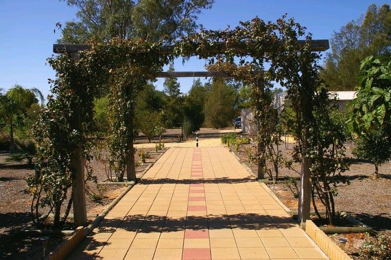 1 Shepherd Drive, PARINGA SA 5340, Paringa - Thumbnail 4