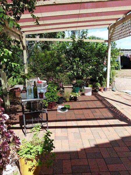 128 Farnell Street, FORBES NSW 2871, Forbes - Thumbnail 7