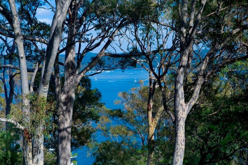 57  Trappers Way, AVALON NSW 2107, Avalon Beach - Image 1