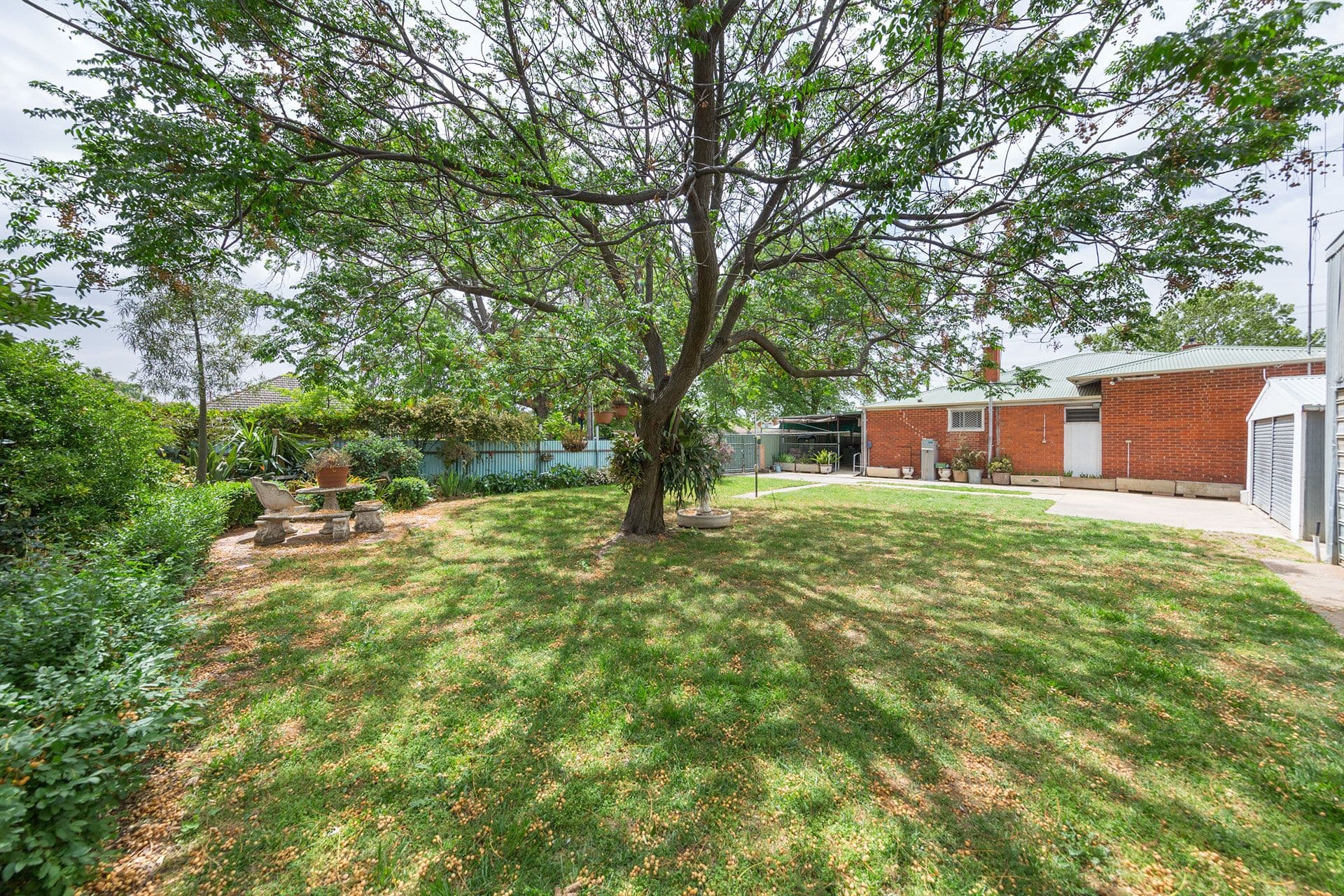 853 Frauenfelder Street, North Albury - Thumbnail 2