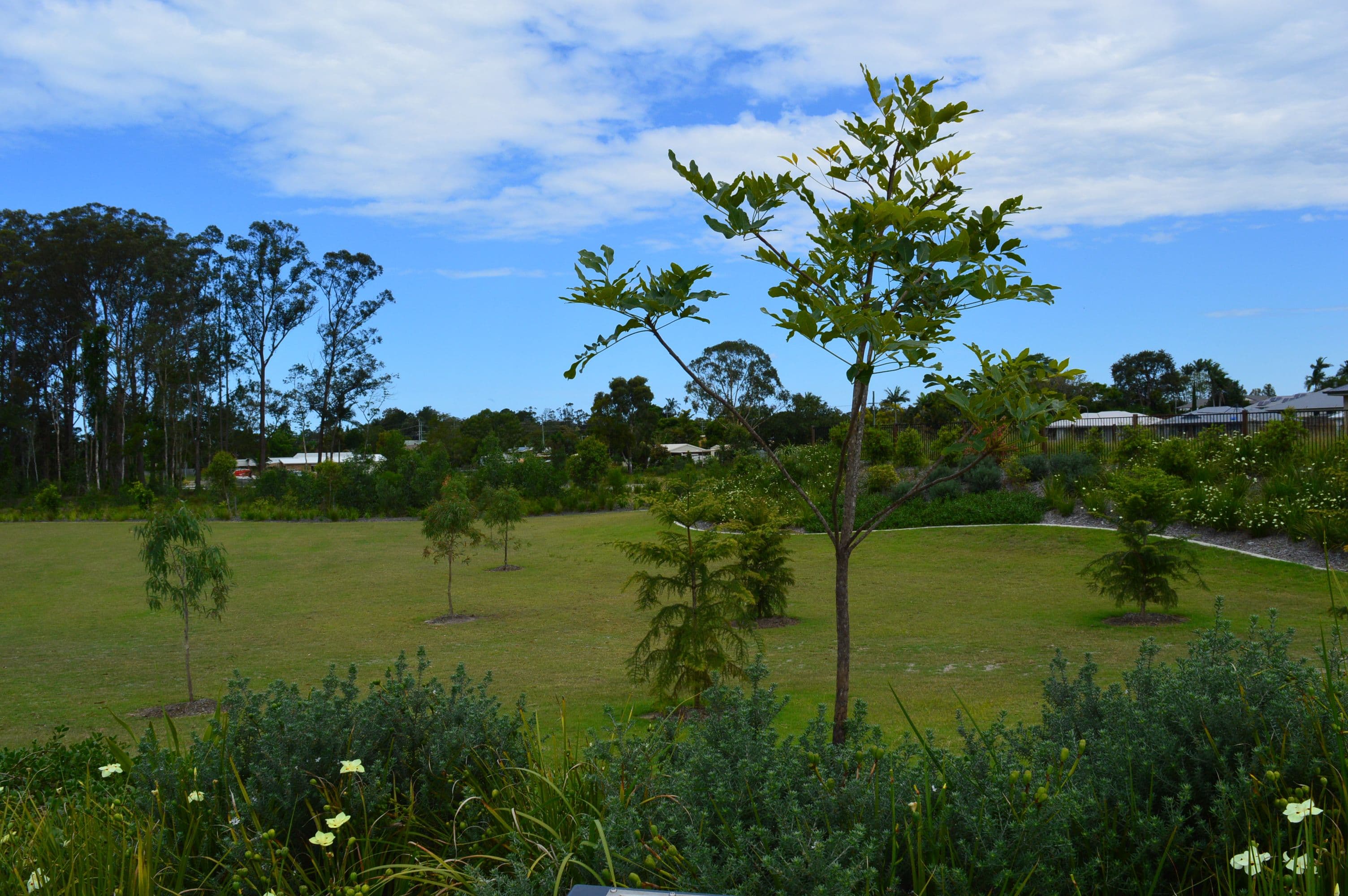 60 Greber Road, Beerwah QLD 4519, Beerwah - Thumbnail 8