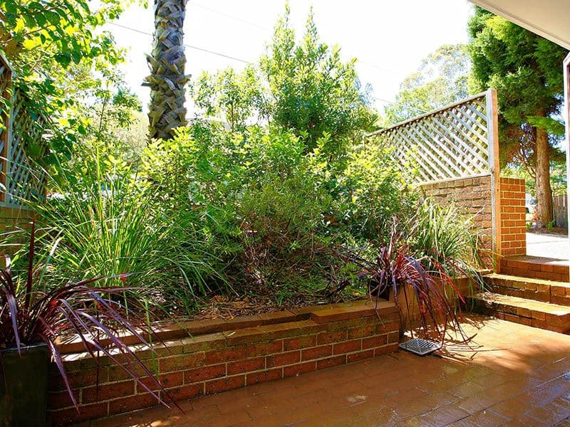 12 Milner Road, ARTARMON NSW 2064, Artarmon - Thumbnail 6