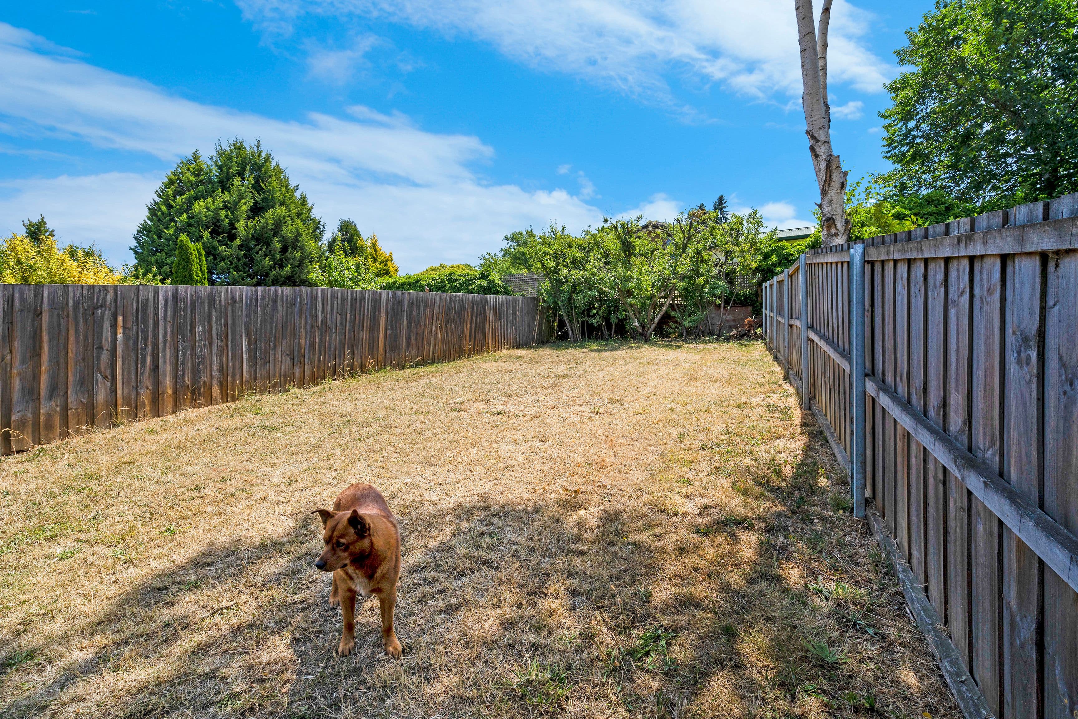 51 Innocent Street, Kings Meadows TAS 7249, Kings Meadows - Thumbnail 8