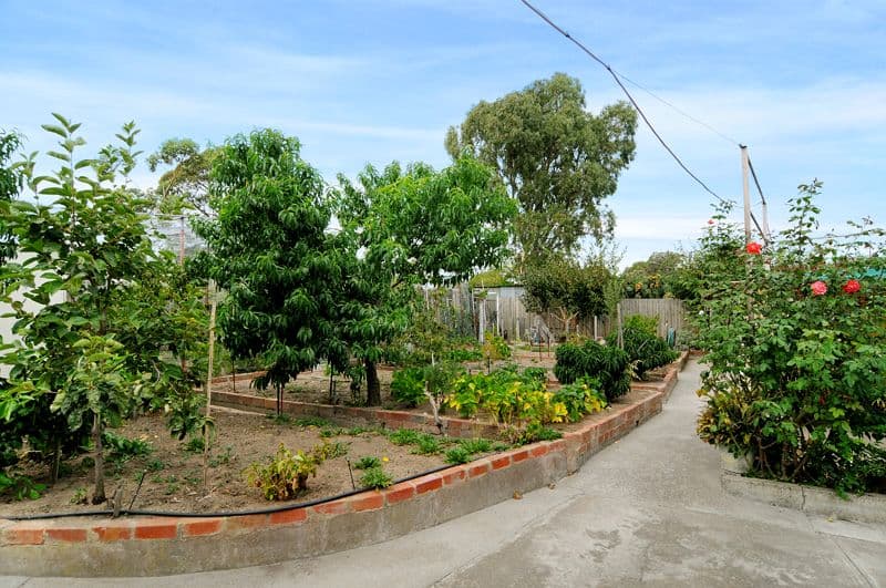 10/2 Greenlees Avenue, Concord - Thumbnail 4