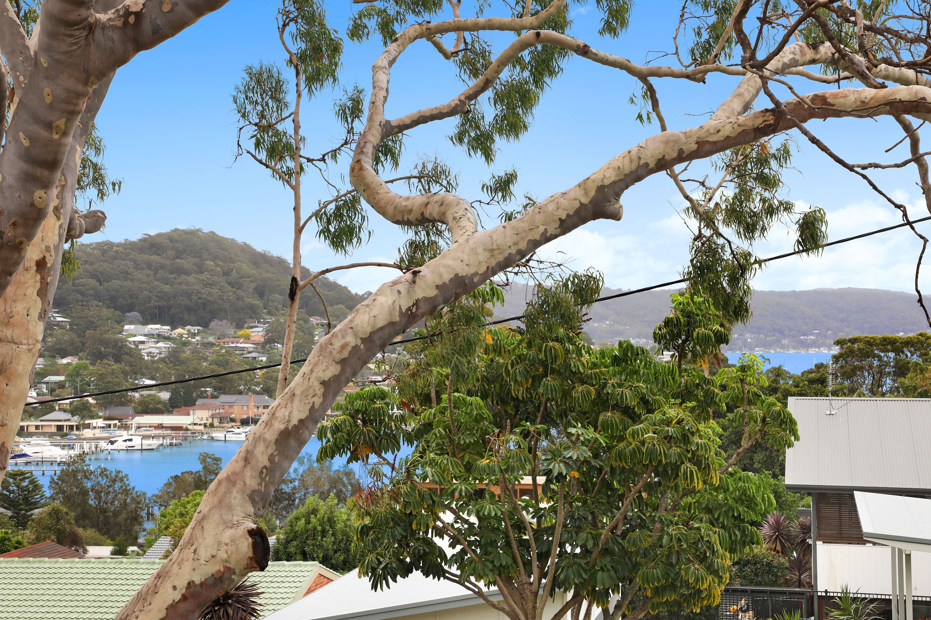 13 Moonah Avenue, Saratoga NSW 2251, Saratoga - Thumbnail 2