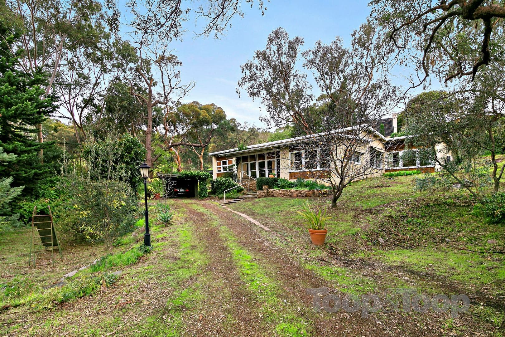 38 Braemar Road, Torrens Park SA 5062, Torrens Park - Thumbnail 2
