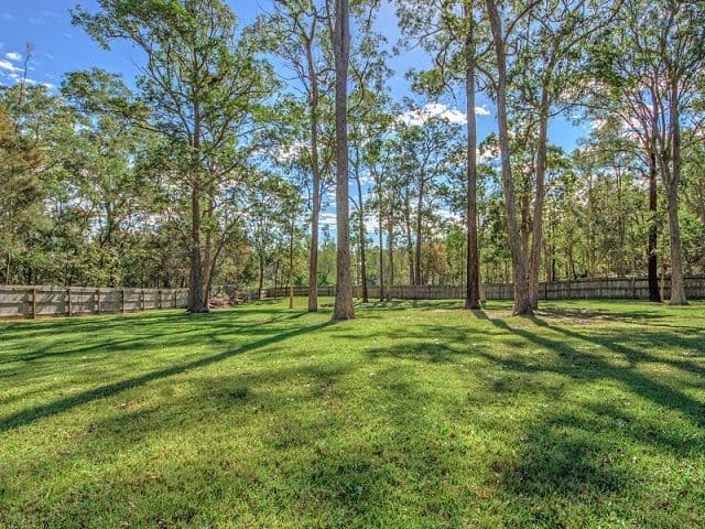15 Hannaford Place, Helensvale QLD 4212, Helensvale - Thumbnail 2