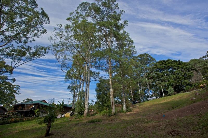 115-117 North Road, LOWER BEECHMONT QLD 4211, Lower Beechmont - Thumbnail 5
