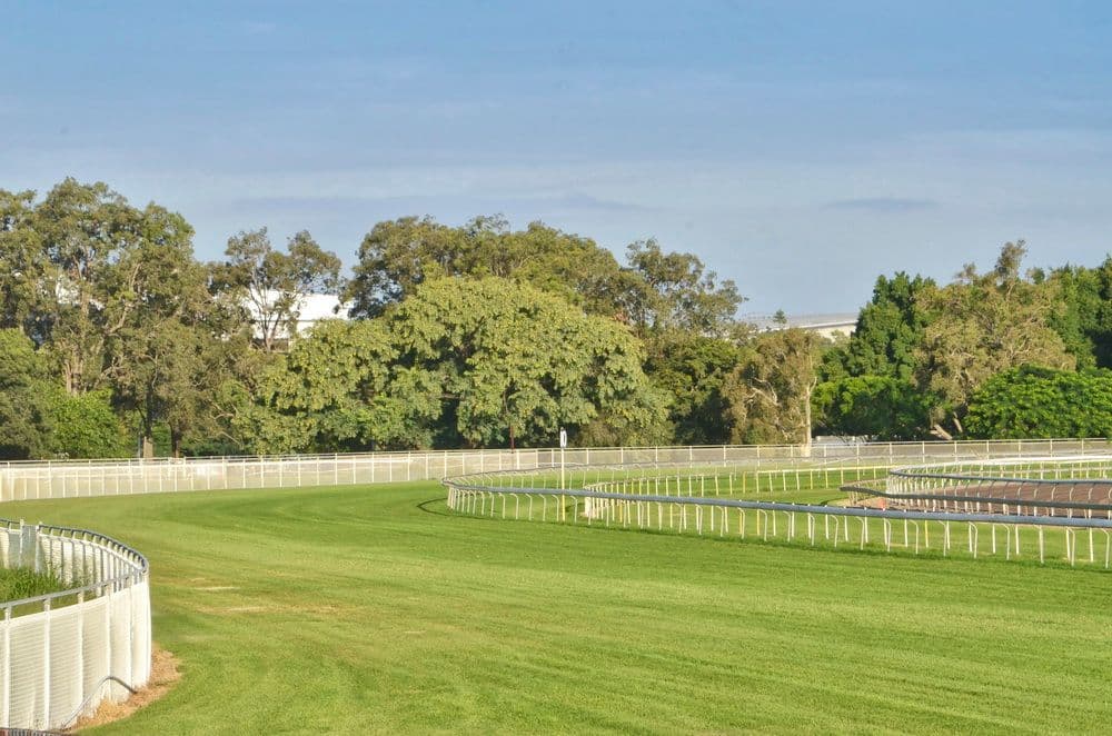 86 Mein Street, HENDRA QLD 4011, Hendra - Thumbnail 3