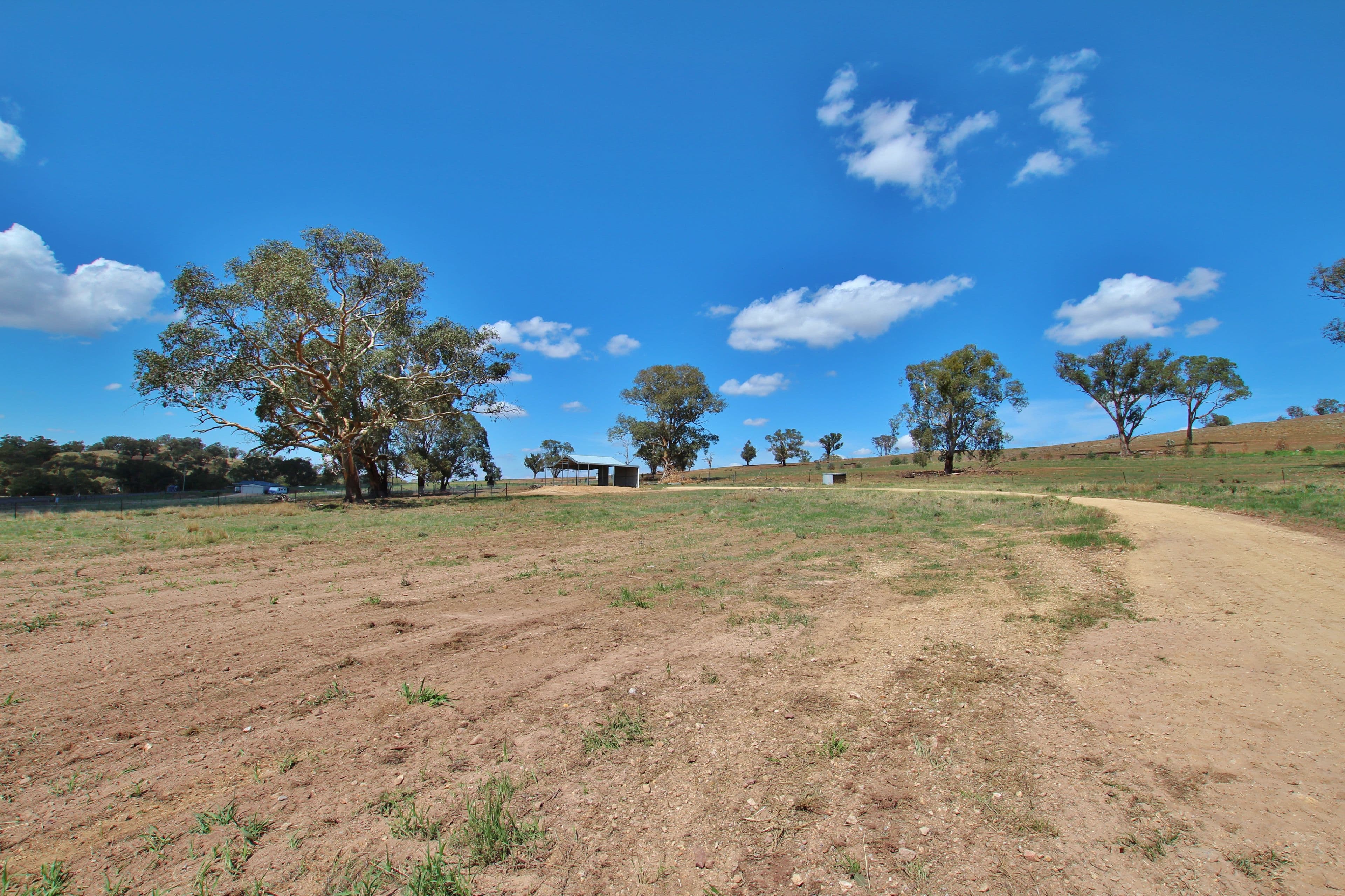 109 Dowling Drive MURRINGO via, Young NSW 2594, Young - Thumbnail 3