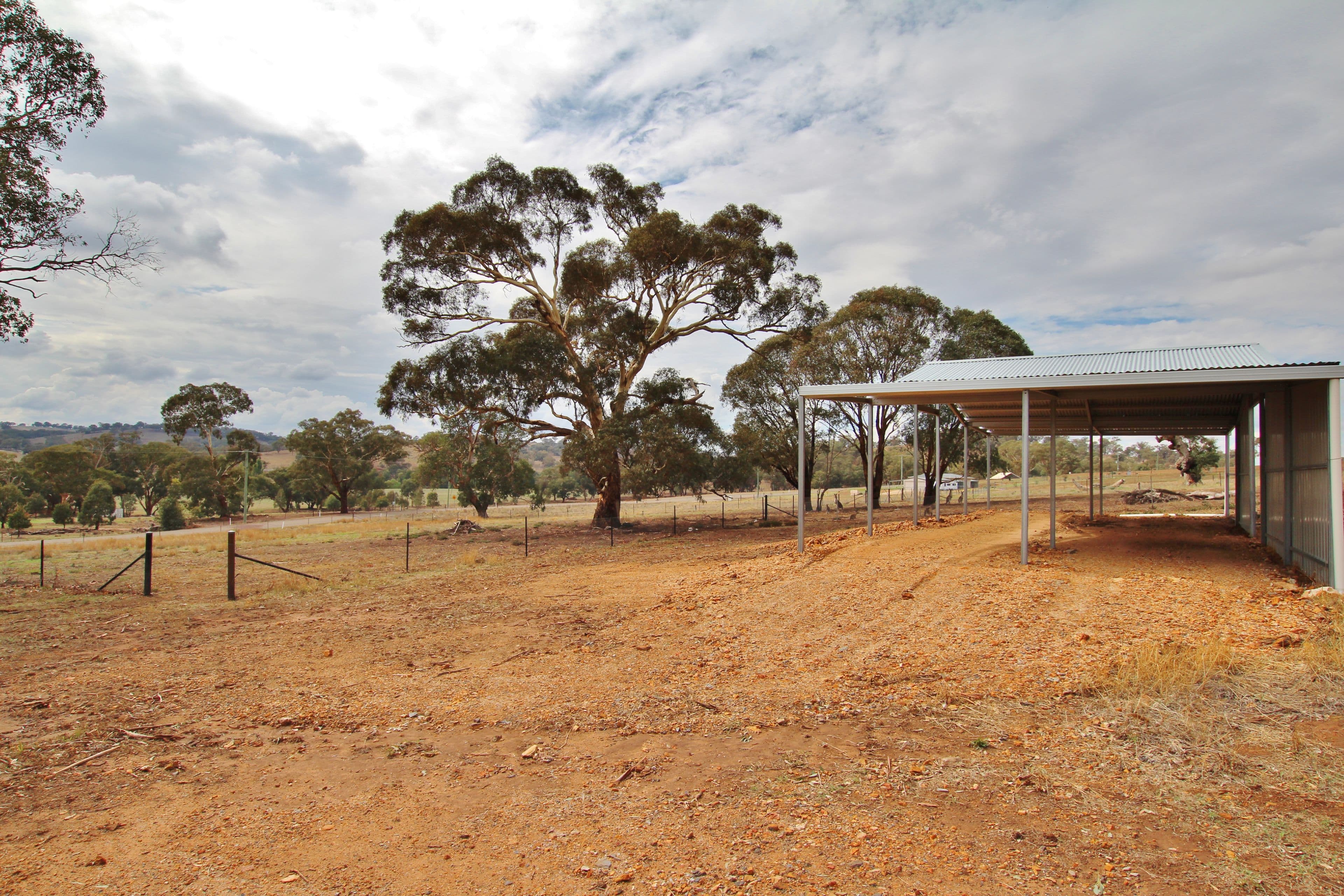 109 Dowling Drive MURRINGO via, Young NSW 2594, Young - Thumbnail 5