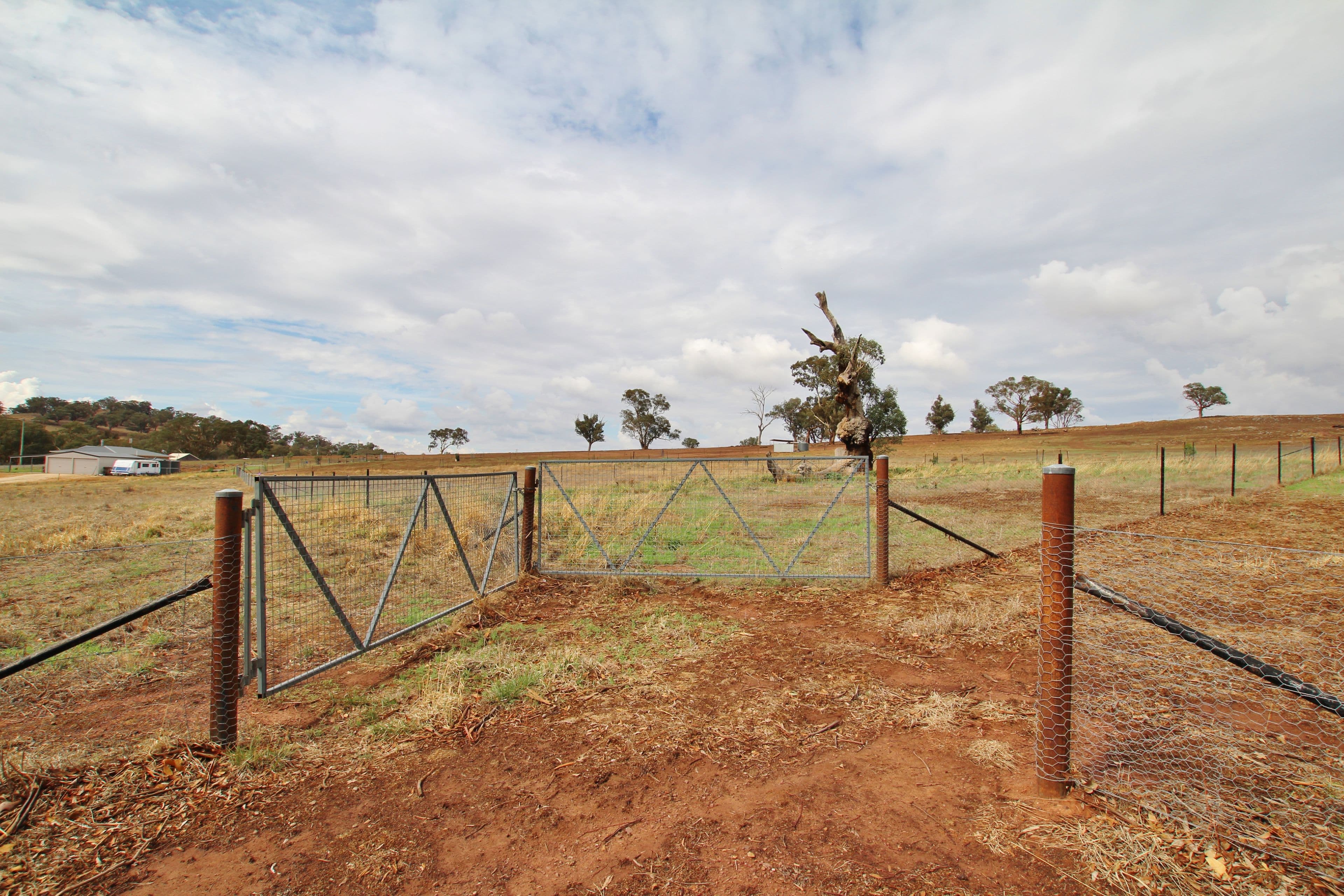 109 Dowling Drive MURRINGO via, Young NSW 2594, Young - Thumbnail 8