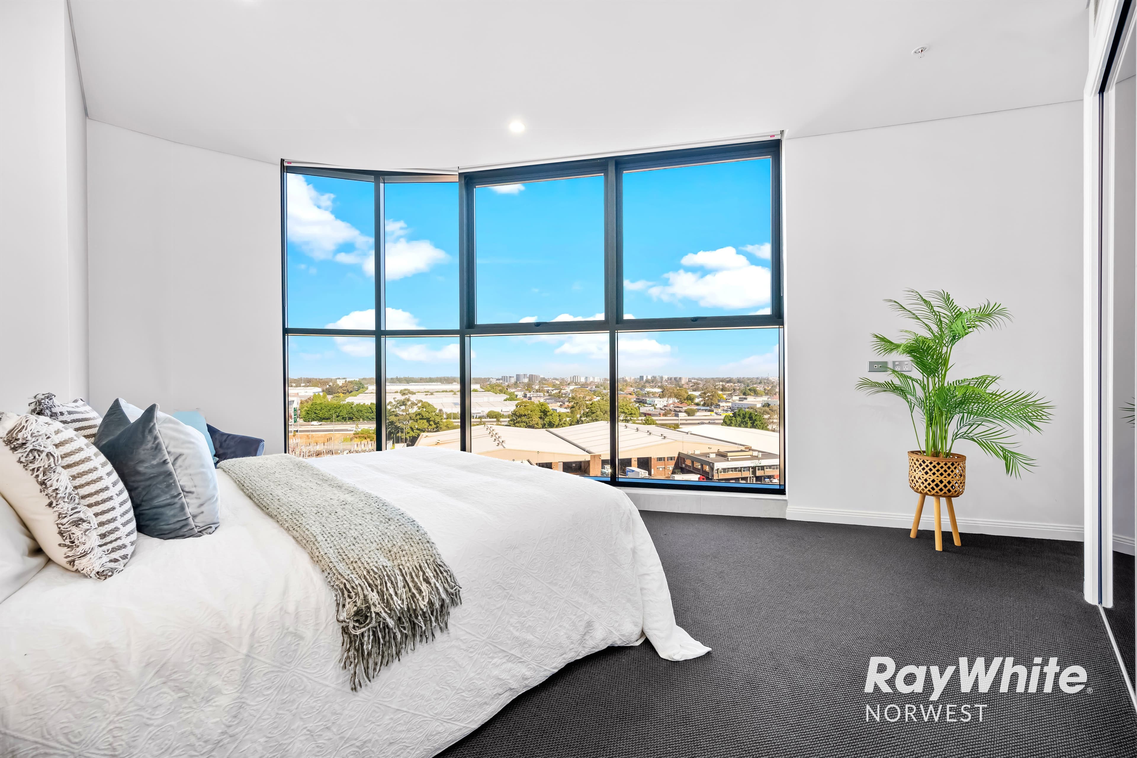 3 Carter Street, Lidcombe NSW 2141, Lidcombe - Thumbnail 3