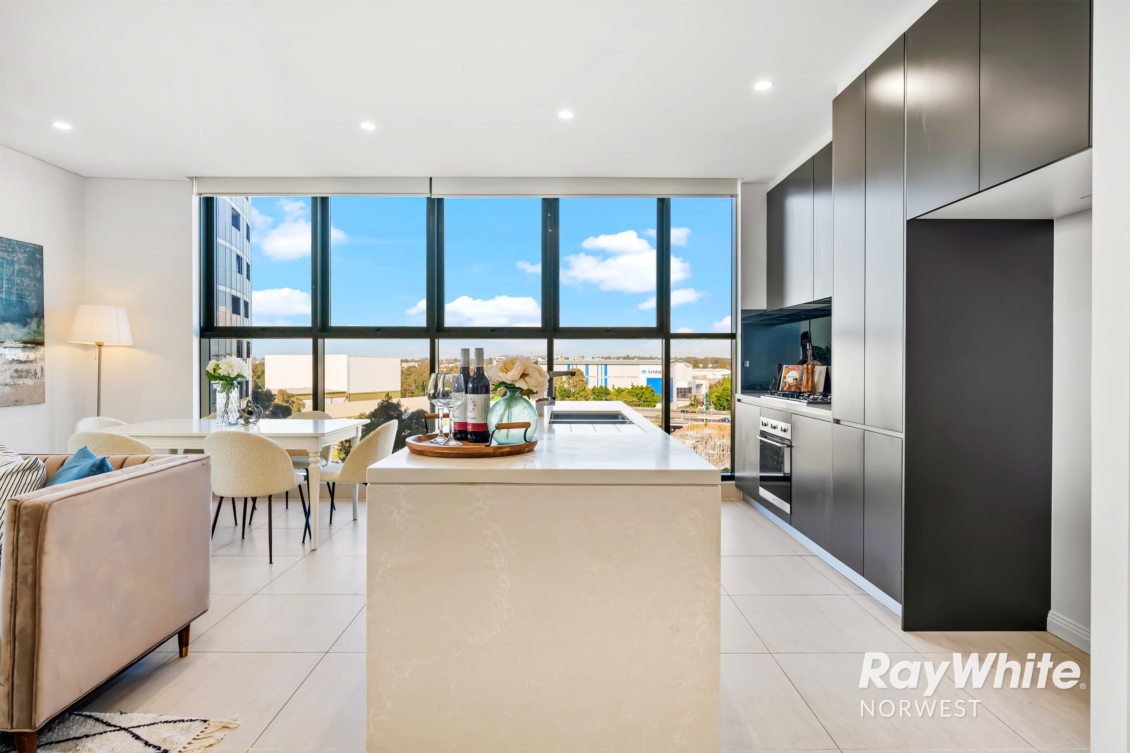 3 Carter Street, Lidcombe NSW 2141, Lidcombe - Thumbnail 5