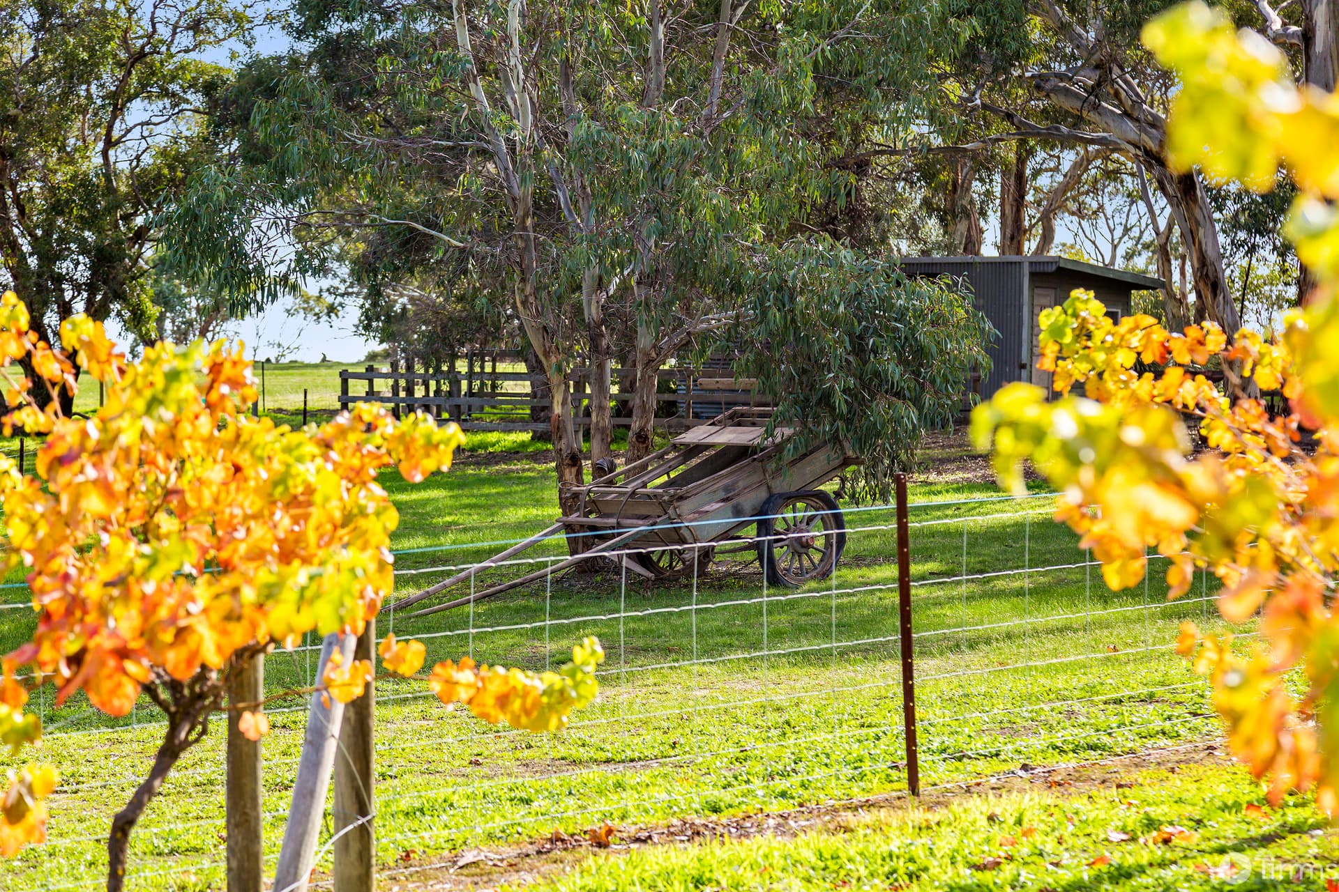 18 Nash Road, Onkaparinga Hills - Image 1