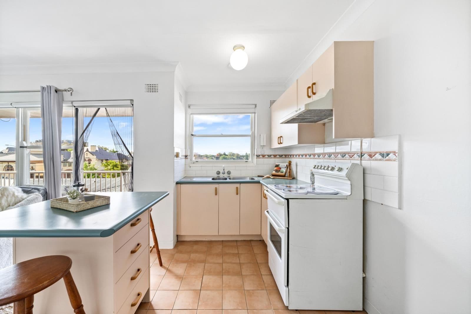 91 Balmain Road, Leichhardt NSW 2040, Leichhardt - Thumbnail 3