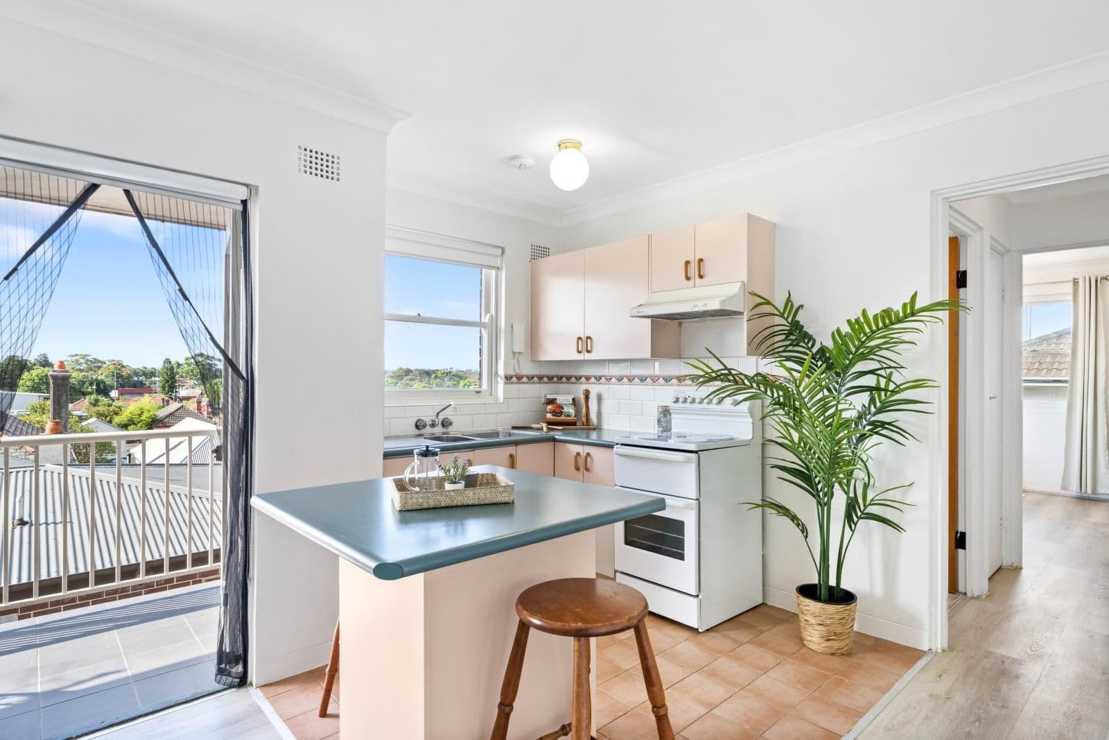 91 Balmain Road, Leichhardt NSW 2040, Leichhardt - Thumbnail 8