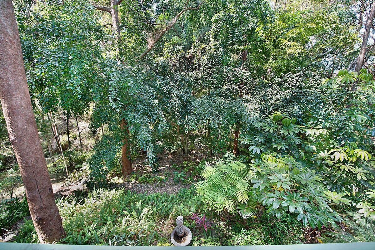 6 Jirrima Court, Buderim QLD 4556, Buderim - Thumbnail 7