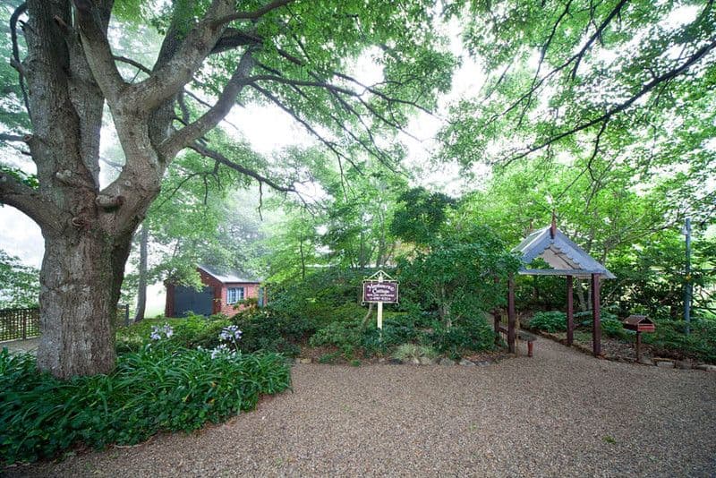 25 Prince George Street, BLACKHEATH NSW 2785, Blackheath - Thumbnail 2