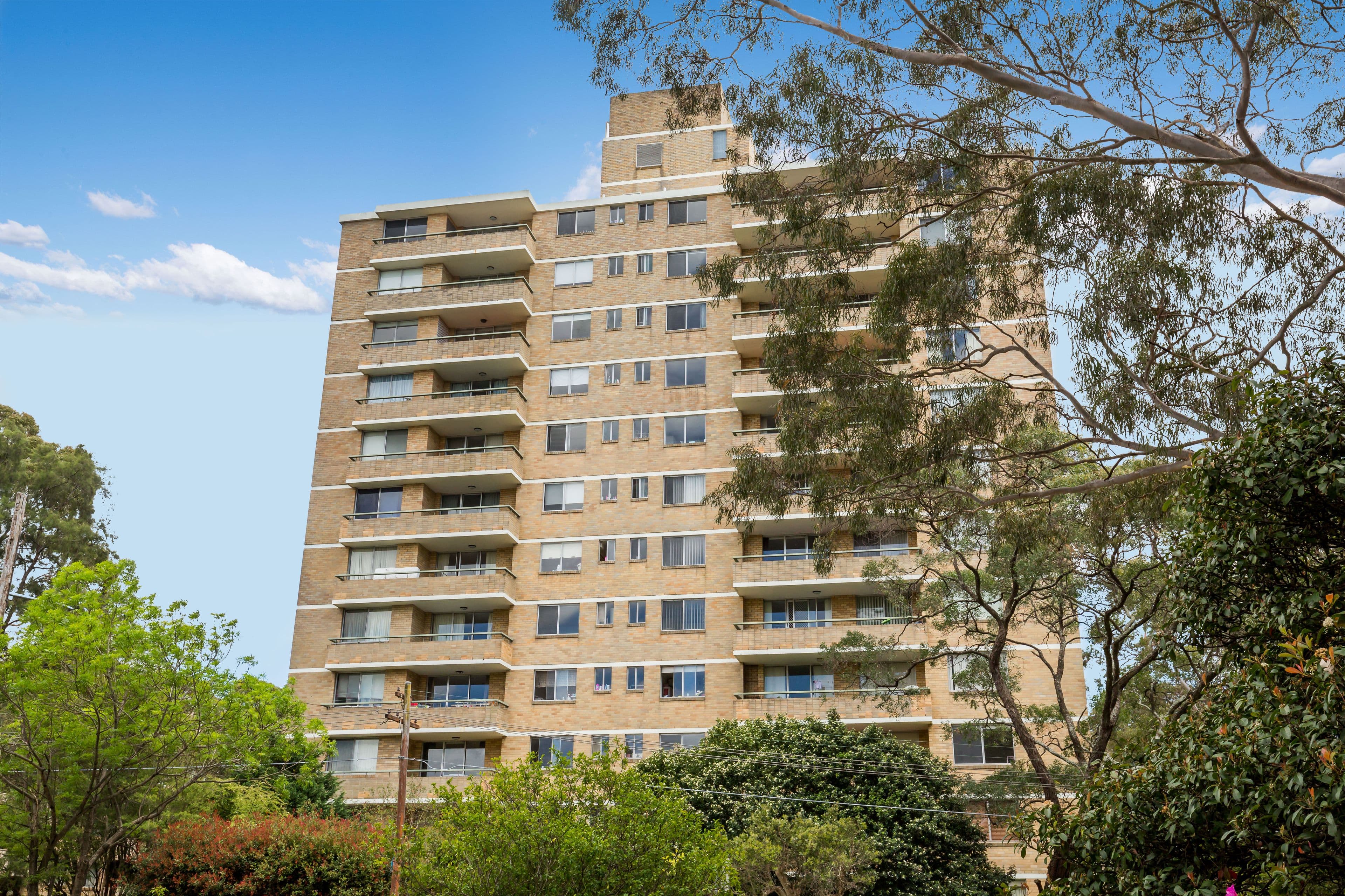 5 Broughton Road, Artarmon NSW 2064, Artarmon - Thumbnail 8