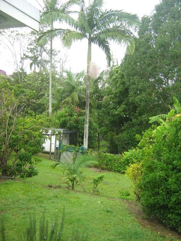 56 Wharf Street, MACLEAN NSW 2463, Maclean - Thumbnail 3