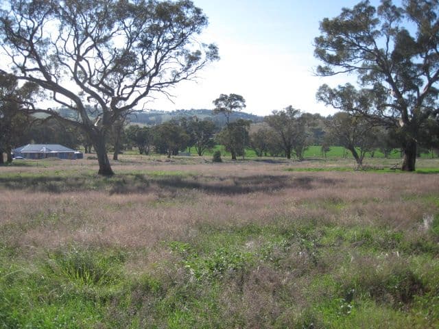 109 Dowling Drive, Murringo Via, YOUNG NSW 2594, Young - Thumbnail 3