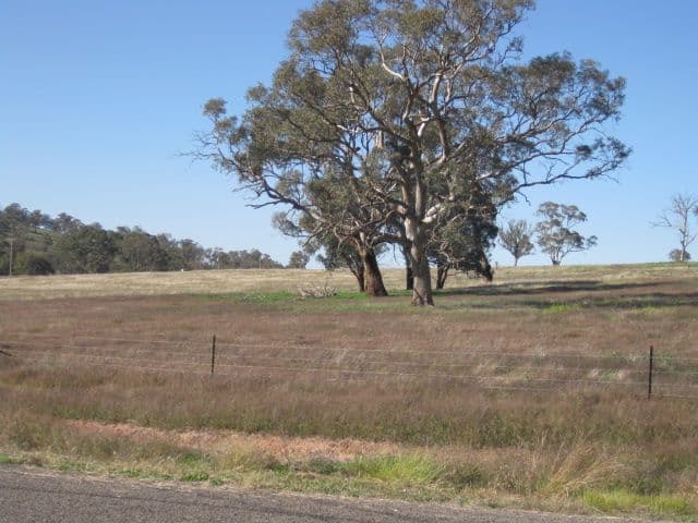 109 Dowling Drive, Murringo Via, YOUNG NSW 2594, Young - Thumbnail 4