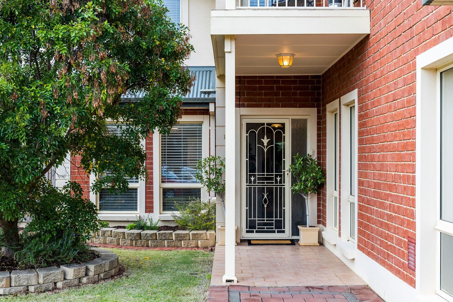 12 Burnley Grove, Mitchell Park SA 5043, Mitchell Park - Thumbnail 2