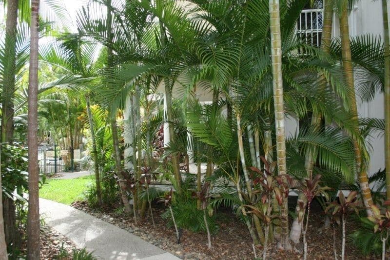 179 Weyba Road, NOOSAVILLE QLD 4566, Noosaville - Thumbnail 6